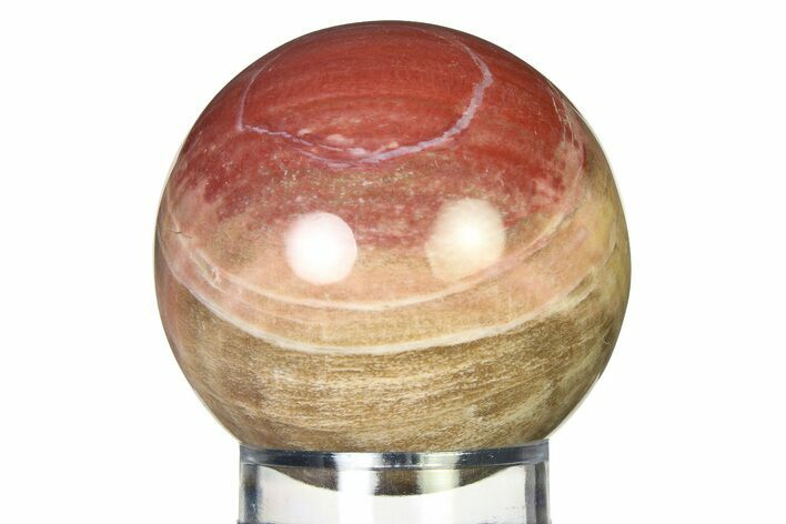 Colorful Petrified Wood (Araucaria) Sphere - Madagascar #317300